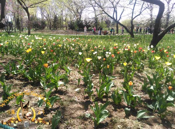 北京植物園