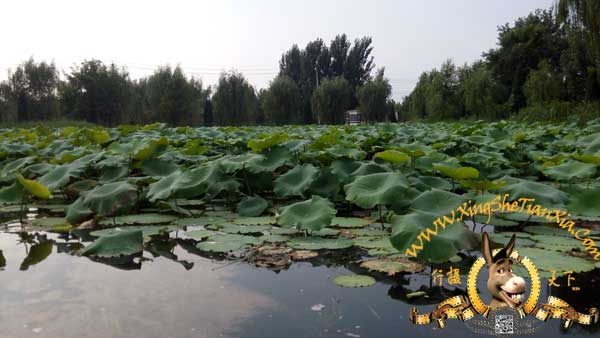 長(zhǎng)溝濕地公園