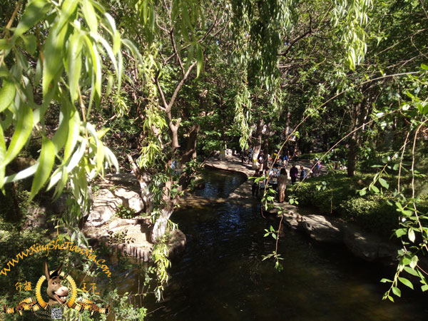 北宮森林公園半日游