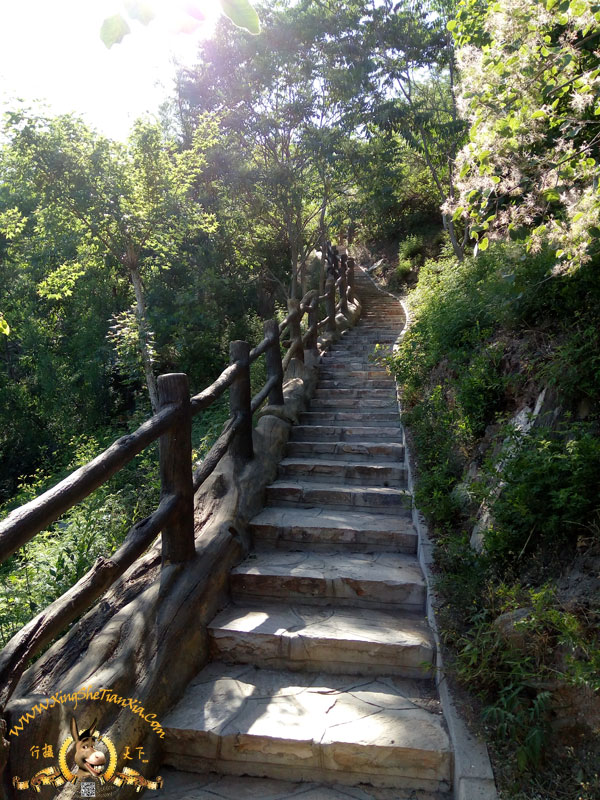 北宮森林公園半日游